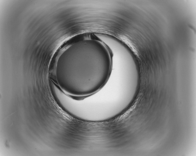 X0000095530924200712281519