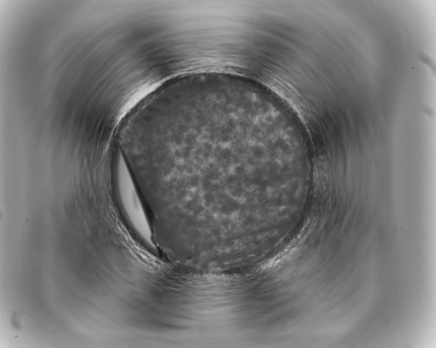X0000095530925200712281519