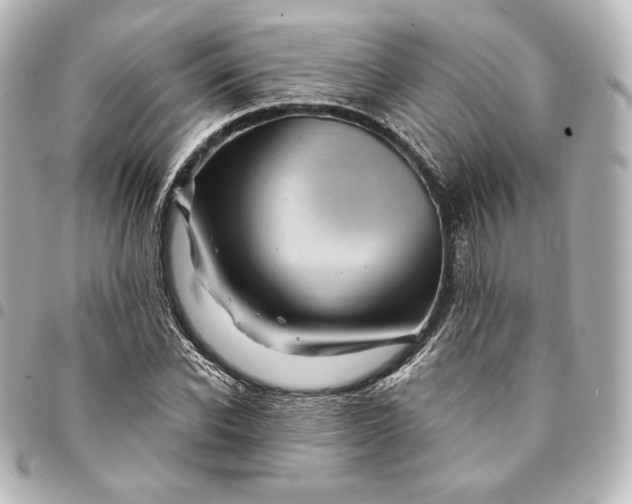 X0000095530926200712281519