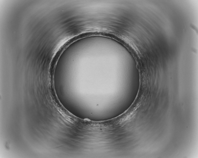 X0000095530927200712281519