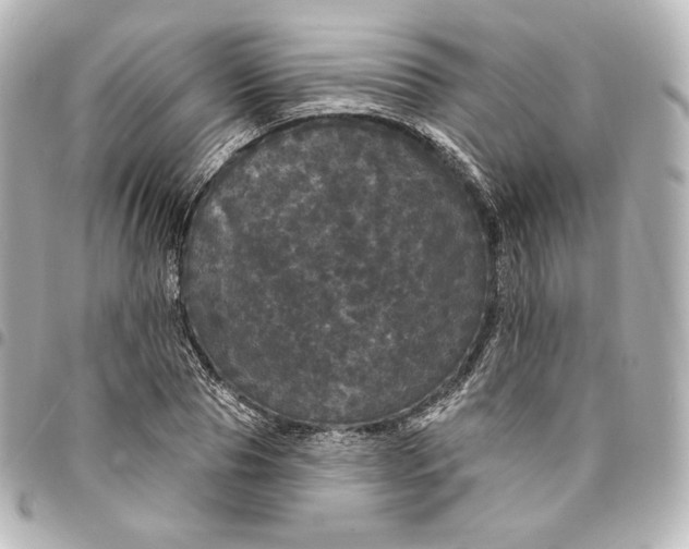 X0000095530929200712281519