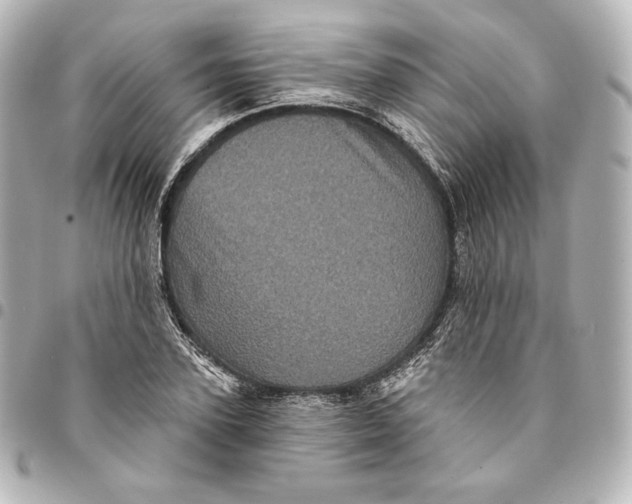X0000095530931200712281519