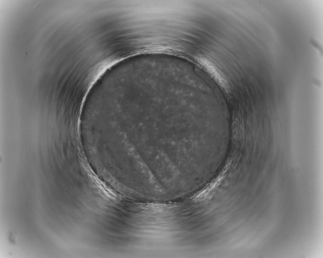 X0000095530932200712281519