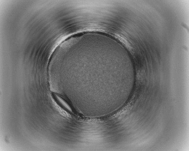 X0000095530934200712281519