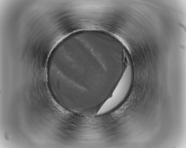 X0000095530935200712281519