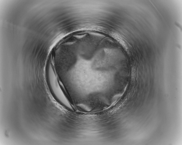 X0000095530936200712281519