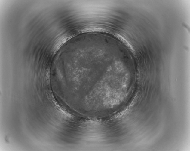 X0000095530937200712281519