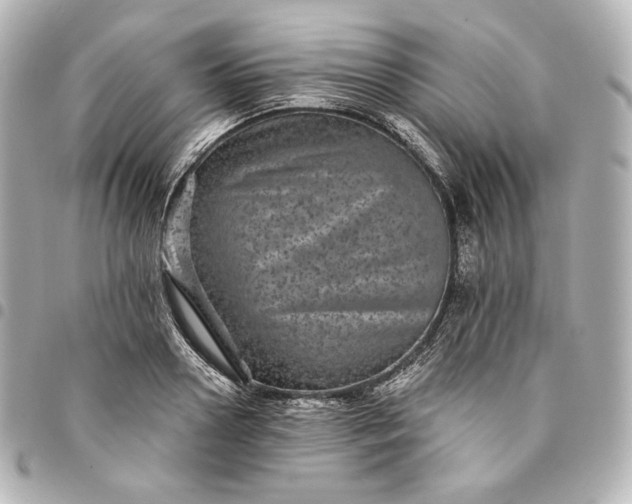 X0000095530938200712281519