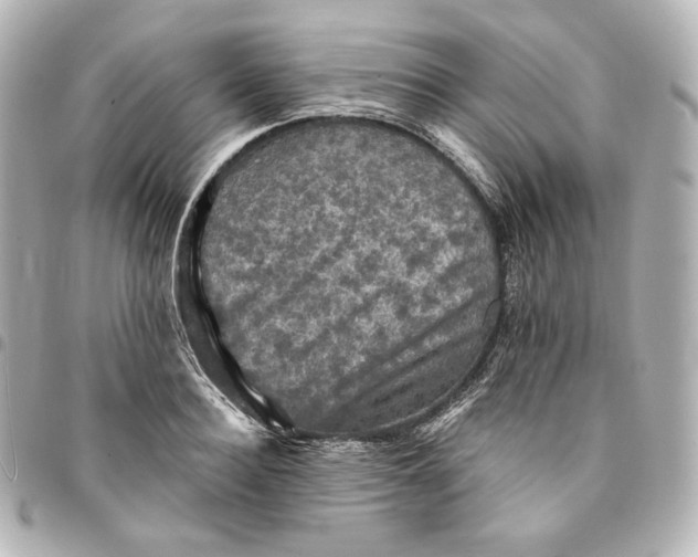 X0000095530940200712281519