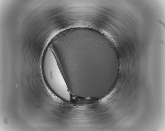 X0000095530942200712281519