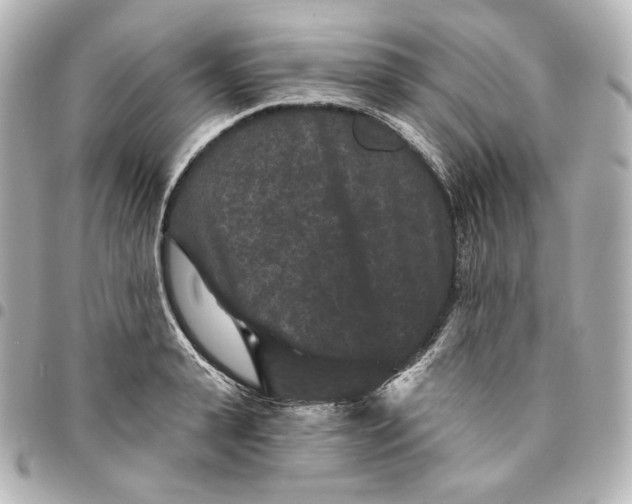 X0000095530943200712281519