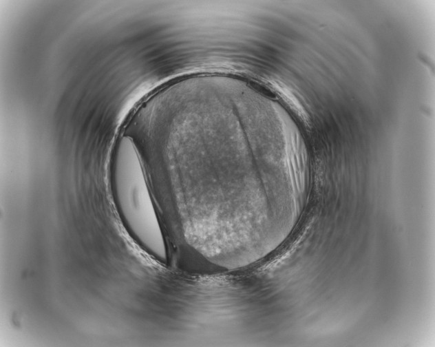 X0000095530944200712281519