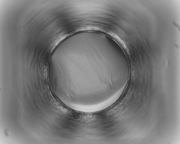 X0000095530945200712281519