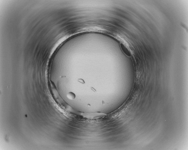 X0000095530947200712281519