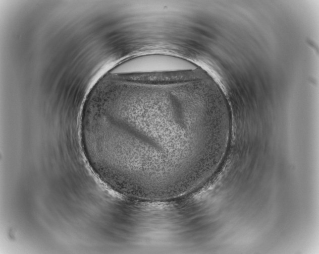 X0000095530949200712281519