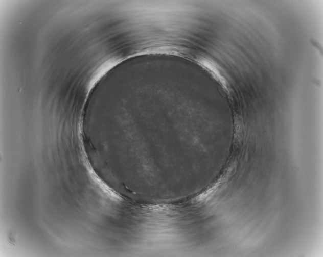 X0000095530952200712281519