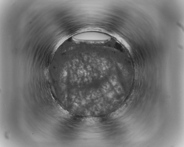 X0000095530953200712281519