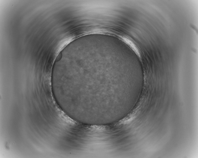 X0000095530954200712281519