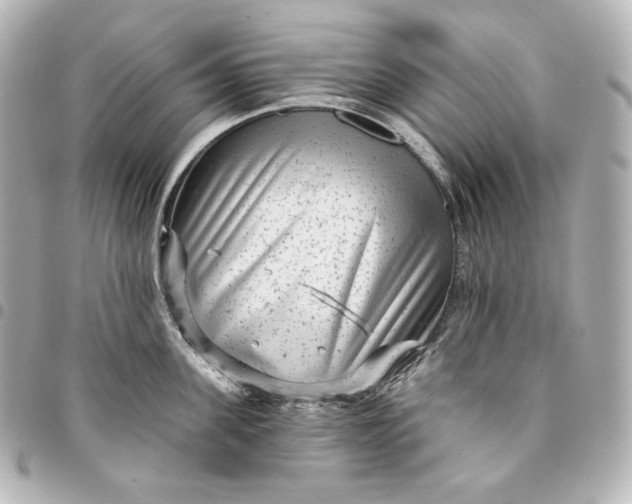 X0000095530955200712281519