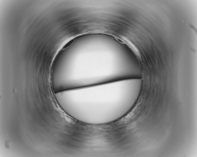 X0000095530956200712281519