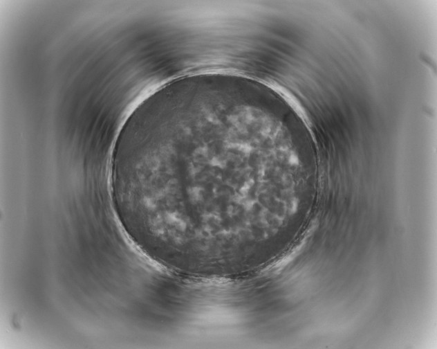 X0000095530957200712281519