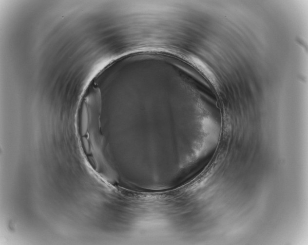 X0000095530958200712281519