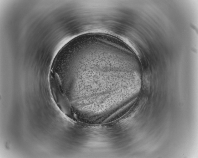 X0000095530959200712281519