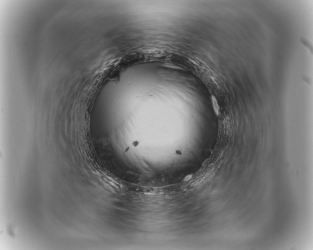 X0000095530961200712281518