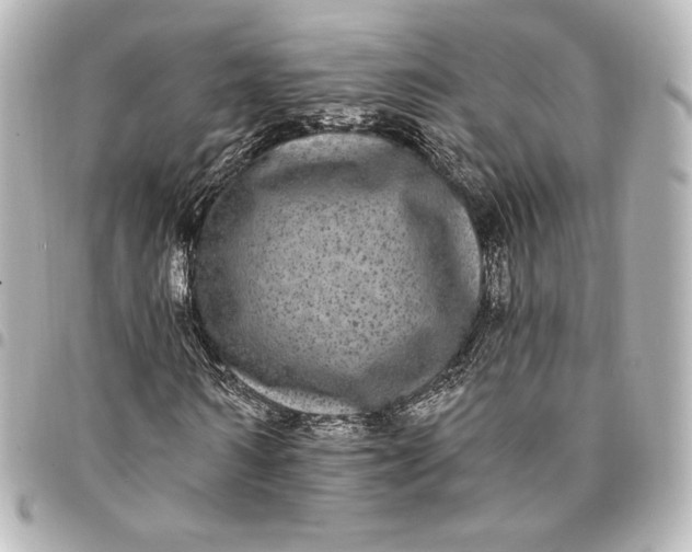 X0000095530962200712281518