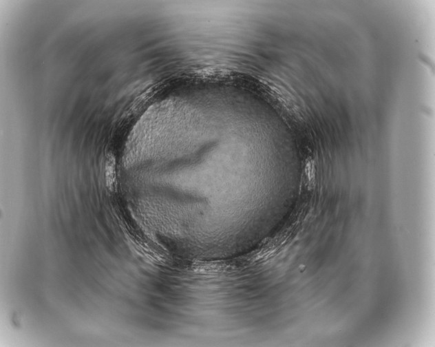 X0000095530963200712281518