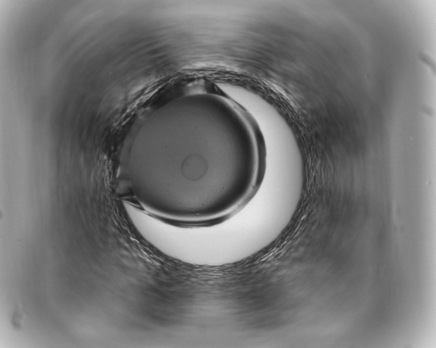 X0000095530965200712281518