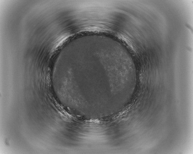 X0000095530968200712281518