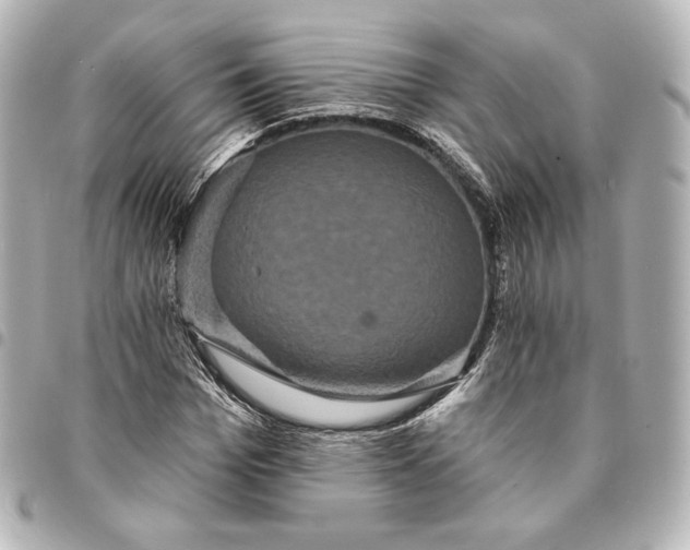 X0000095530969200712281518