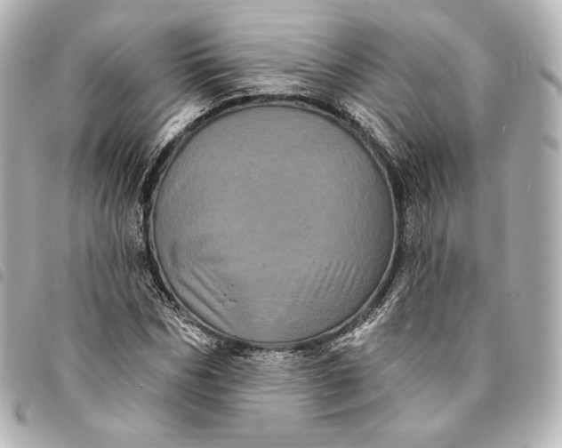 X0000095530970200712281518