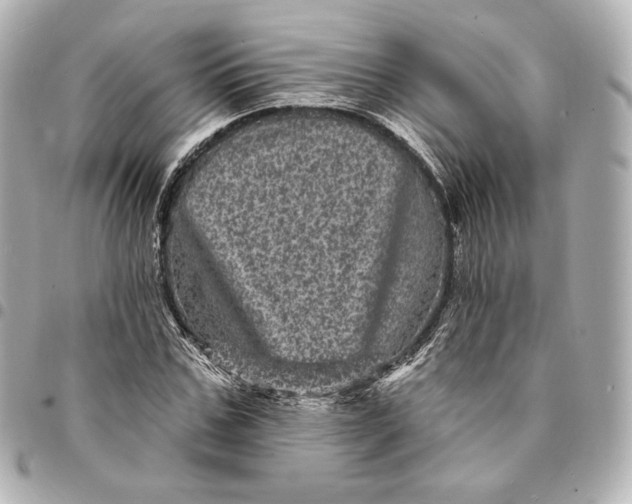 X0000095530971200712281518