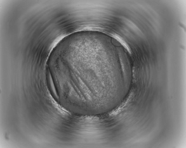 X0000095530972200712281518