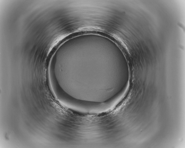 X0000095530973200712281518
