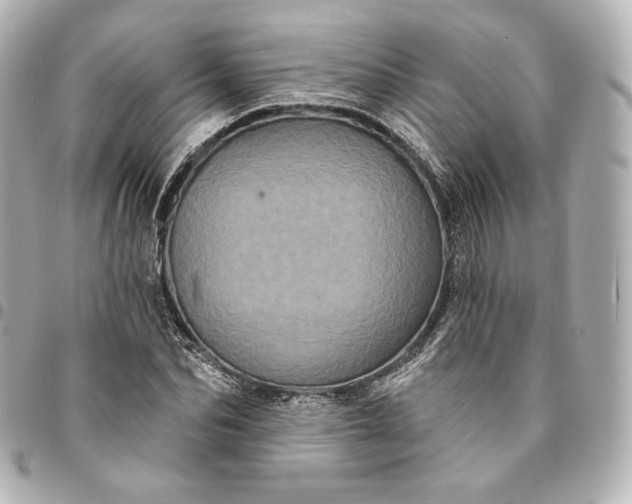 X0000095530974200712281518