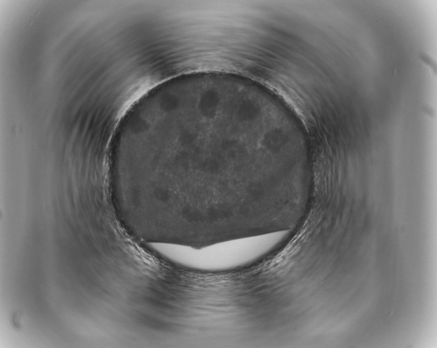 X0000095530975200712281518