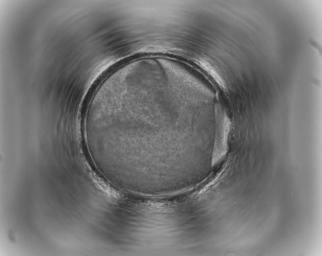 X0000095530976200712281518