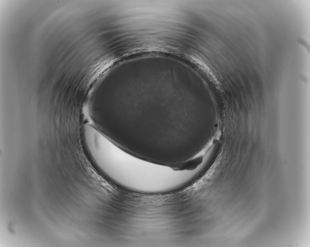 X0000095530977200712281518