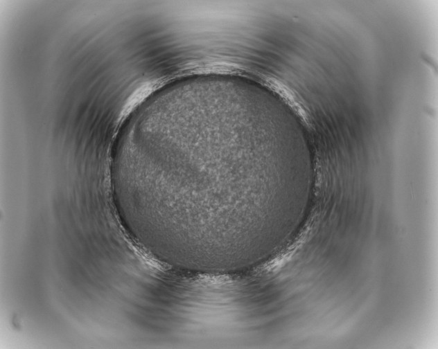 X0000095530978200712281518