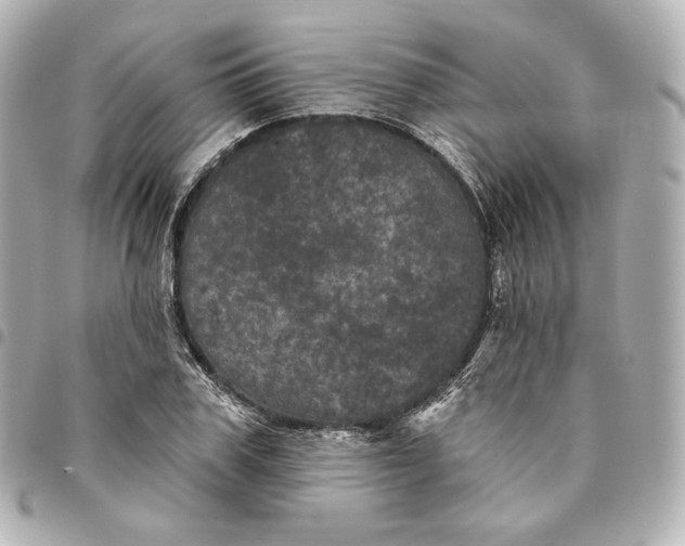 X0000095530979200712281518