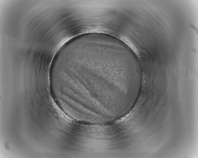 X0000095530980200712281518