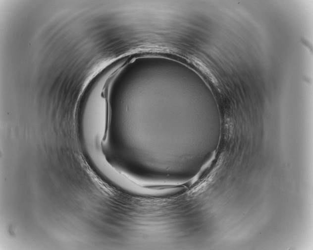 X0000095530981200712281518