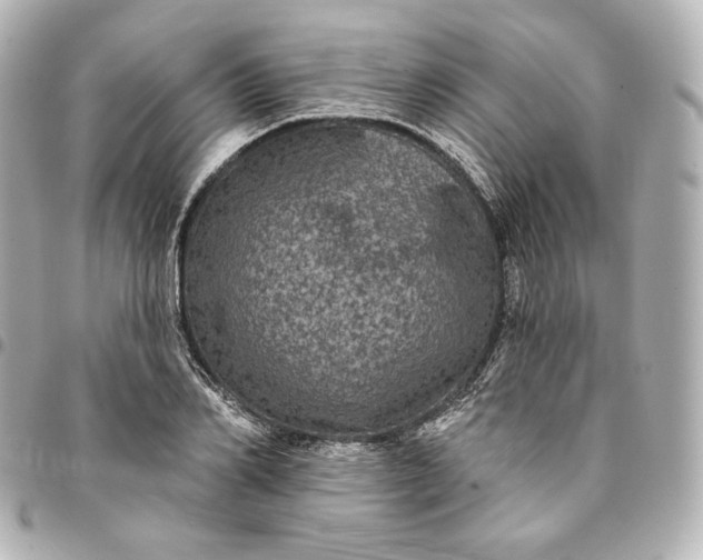 X0000095530982200712281518