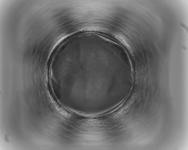 X0000095530984200712281518