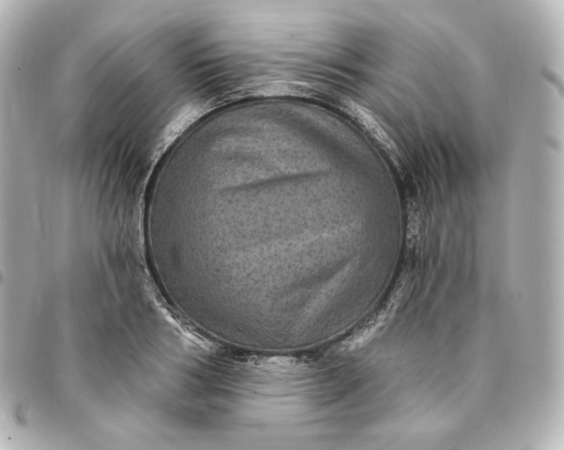 X0000095530986200712281518