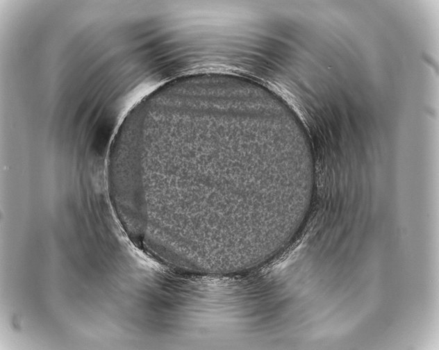 X0000095530987200712281518