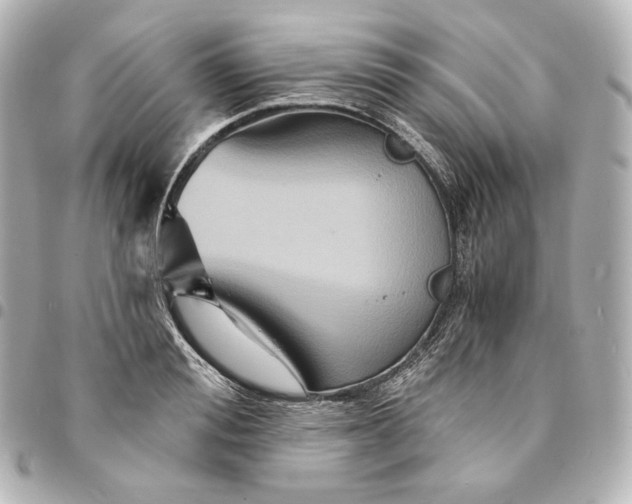 X0000095530988200712281518